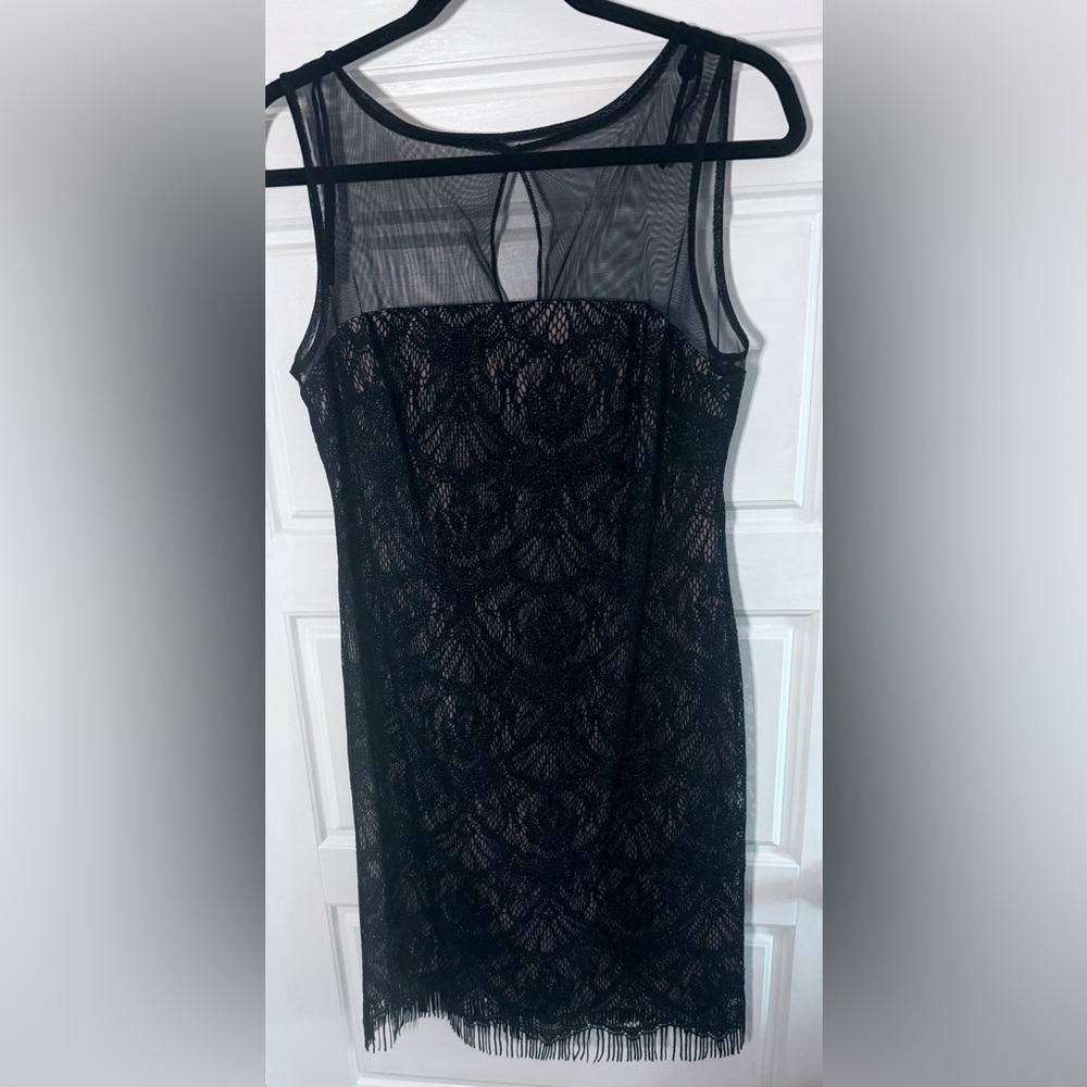 NWT Beautiful Dress Lace Over Tan Silk Slik